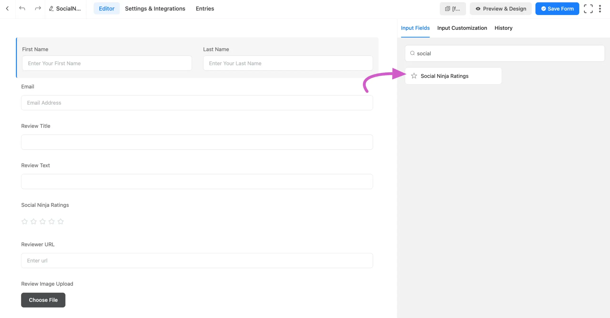 fluentforms input field