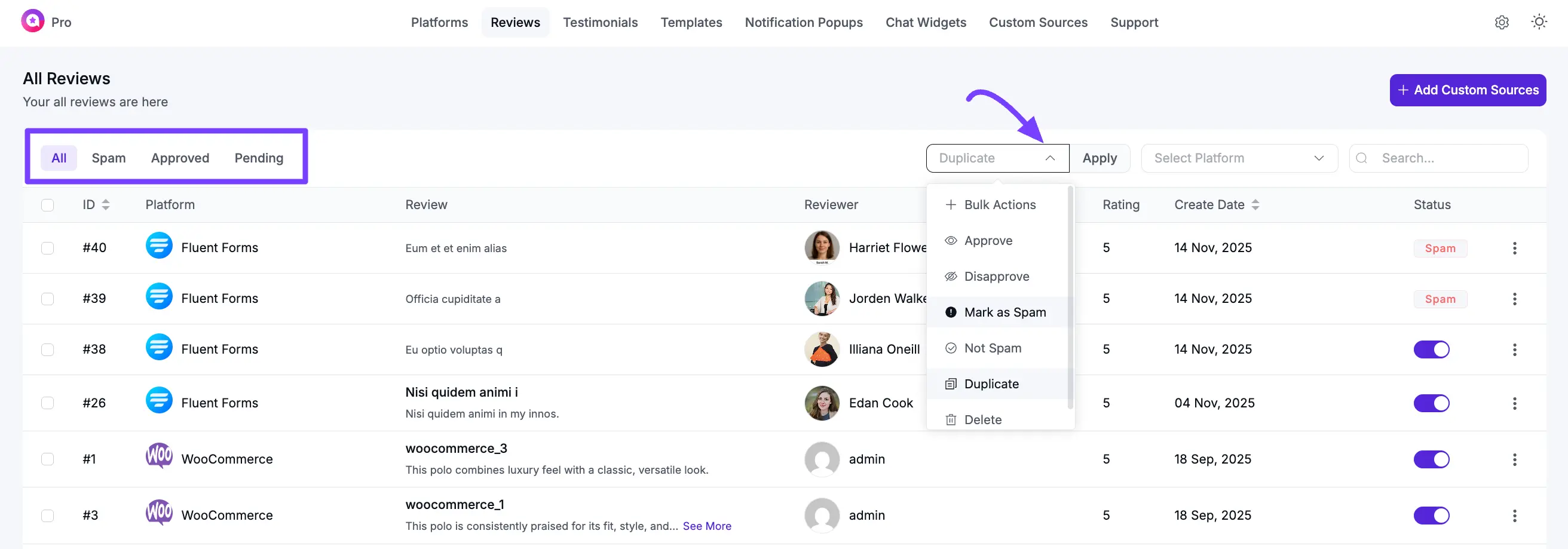 The main Reviews dashboard in WP Social Ninja