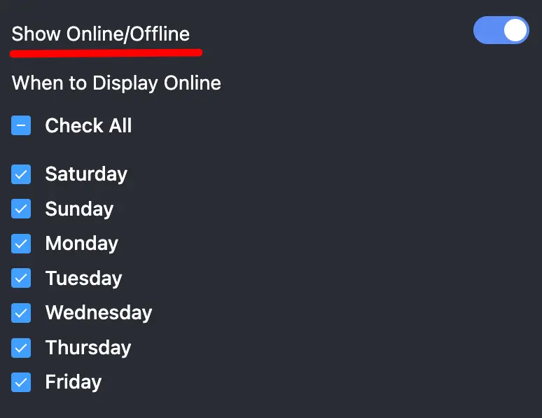 chat widget settings 11