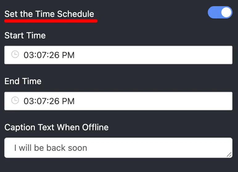 chat widget settings 12