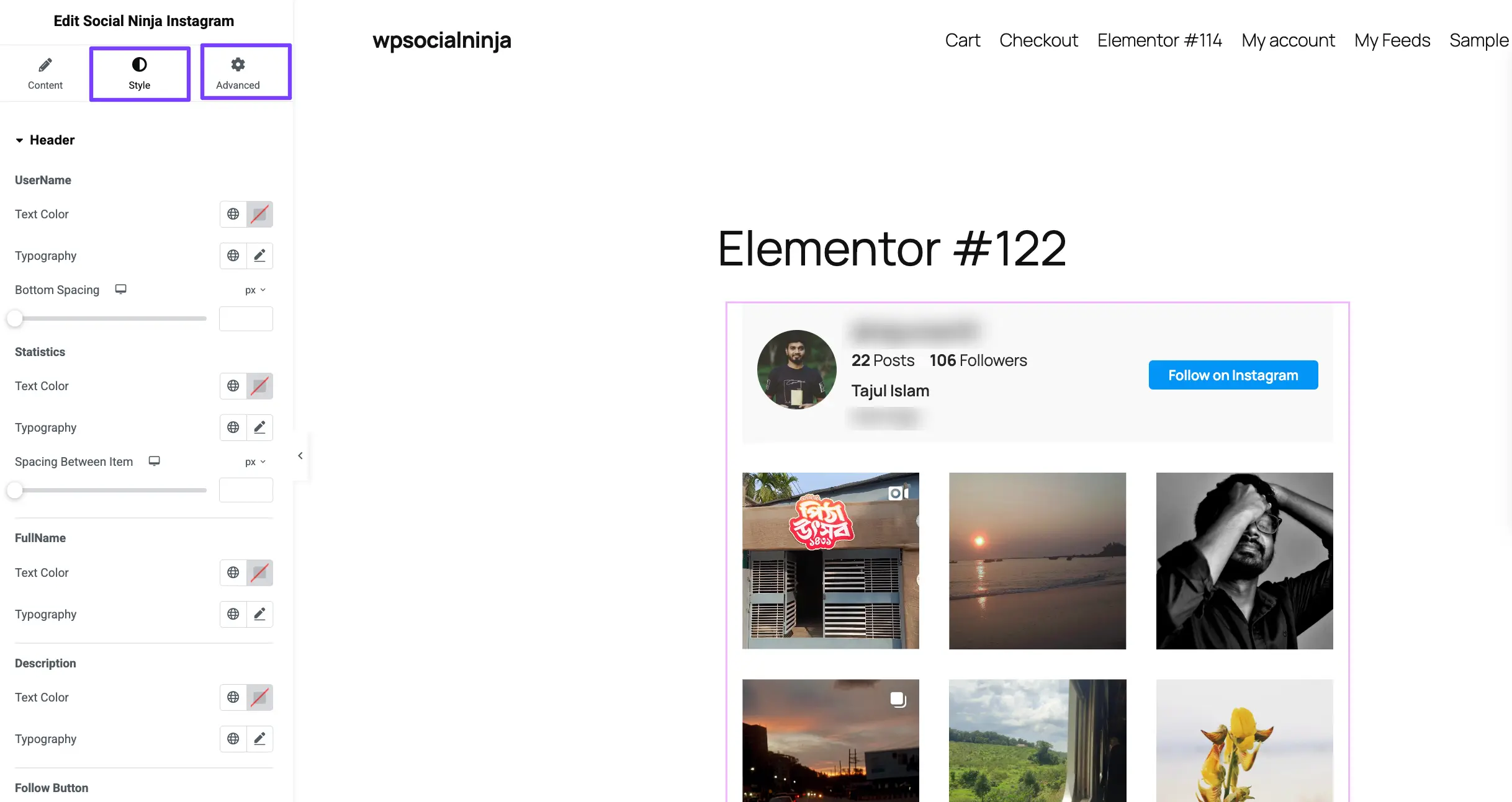 The 'Style' tab options in the Elementor widget