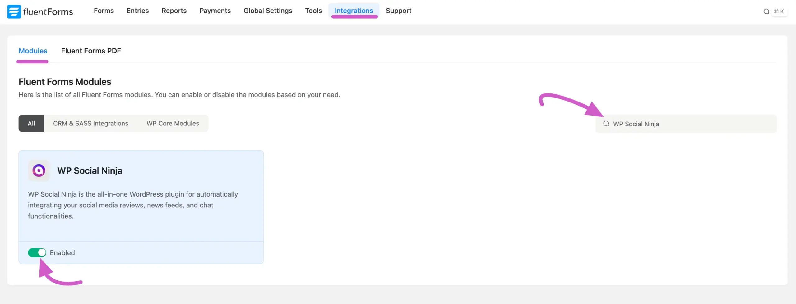 enable wp social ninja 1