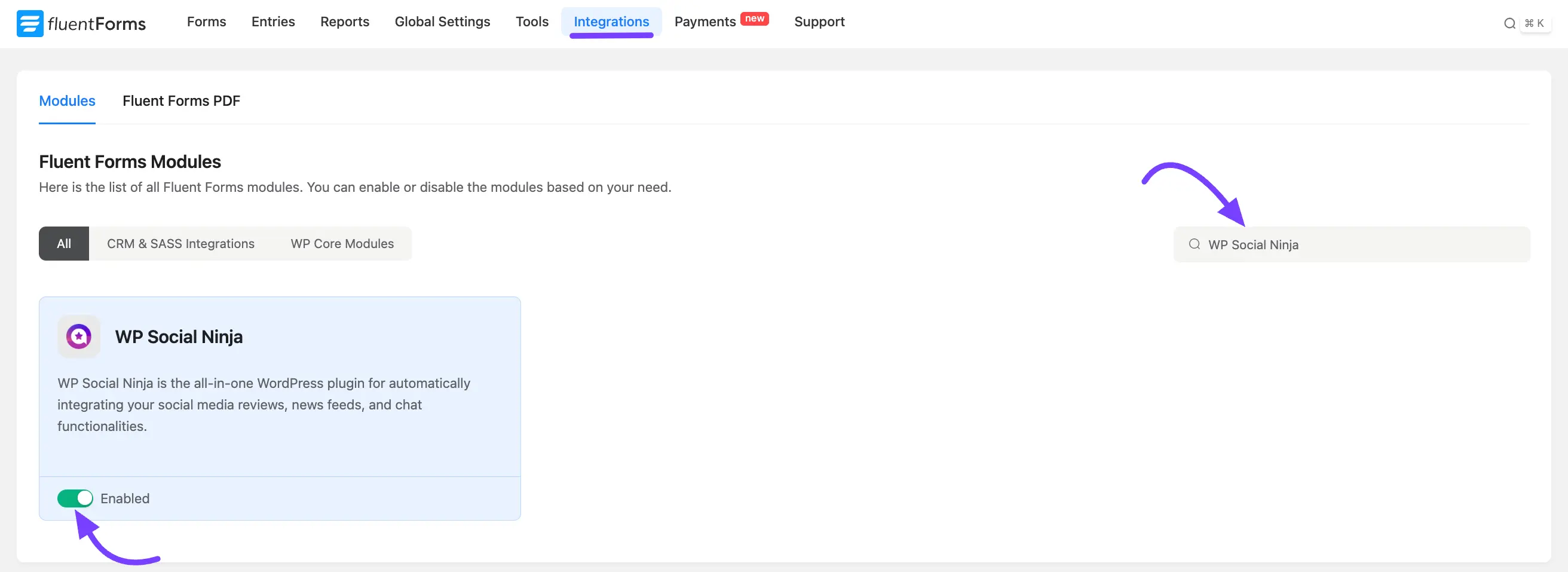 enable wp social ninja 1