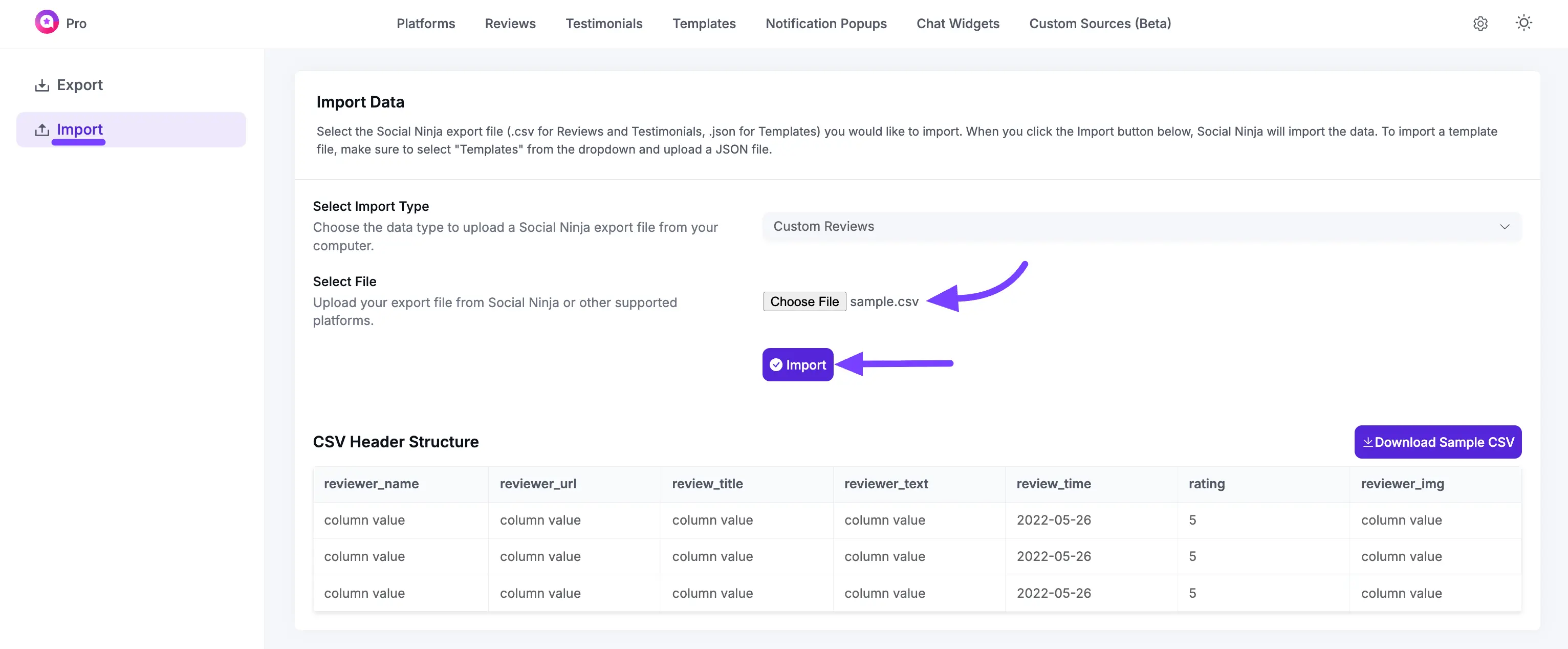wpsocialninja export import 2