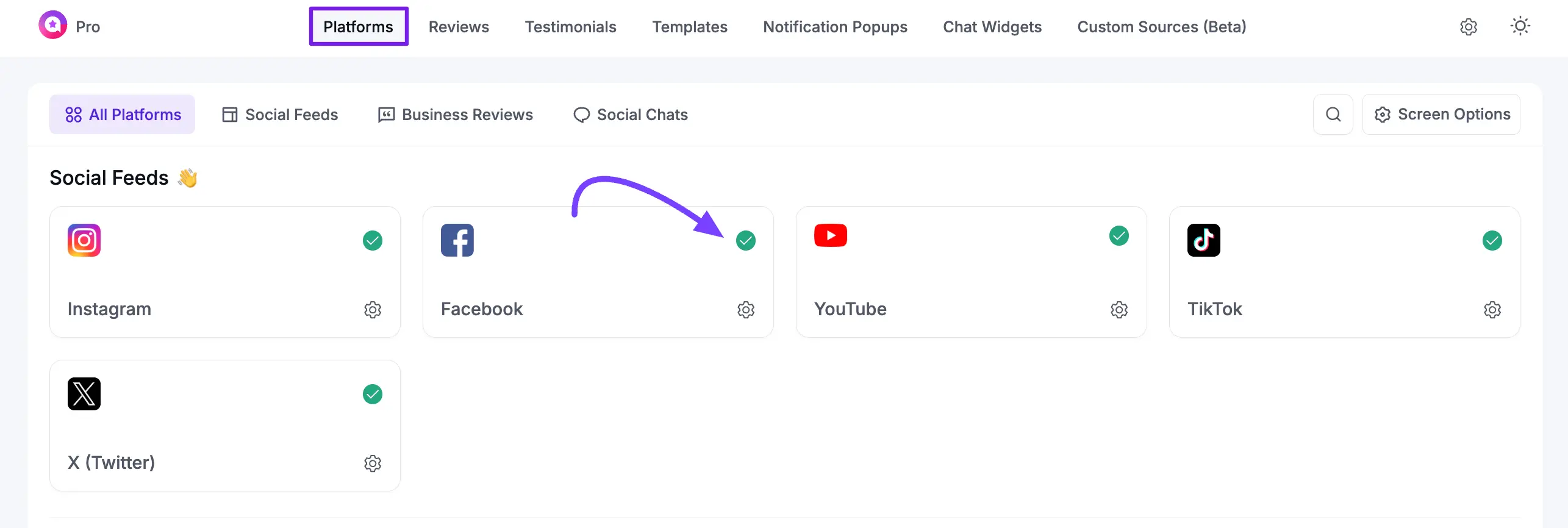 Facebook Feeds & Reviews